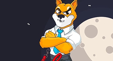 Shiba Inu geliştiricisi müjdelemişti! SHIB coin bu haberle Kasım ayı seviyesini yakaladı